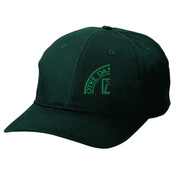 ADULT, Baseball Cap, NDA_Full Color
